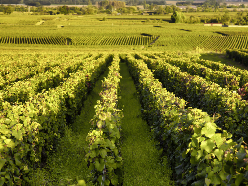 La Bourgogne en camping-car