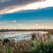 Explorer la Camargue en camping-car