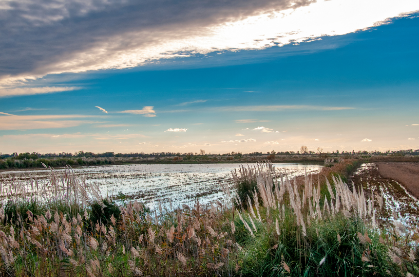 Explorer la Camargue en camping-car