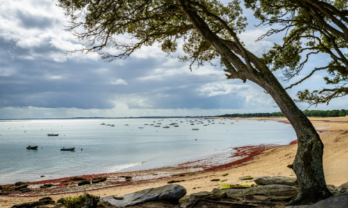 noirmoutier_camping_car