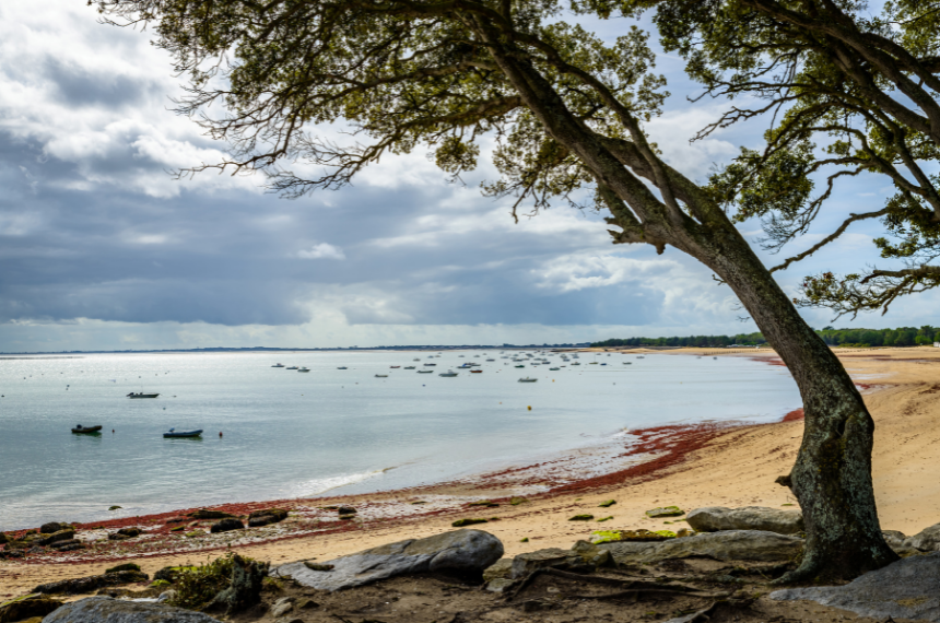 noirmoutier_camping_car