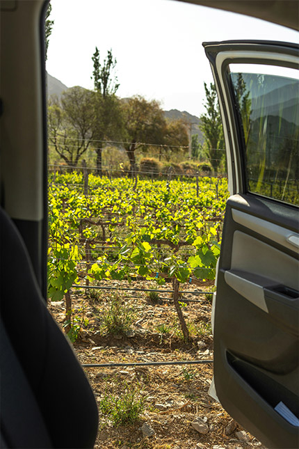 La rotue des vins en Alsace