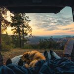 Voyager en camping-car avec son chien