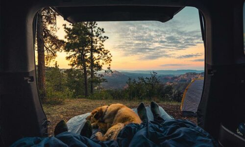 Voyager en camping-car avec son chien