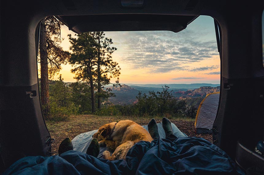 Voyager en camping-car avec son chien