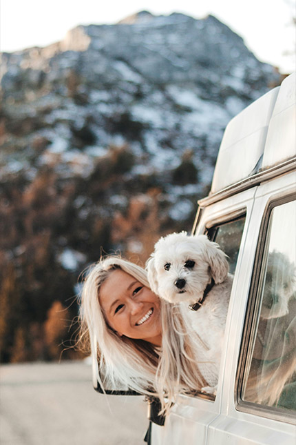 Check List voyage avec son chien en camping-car