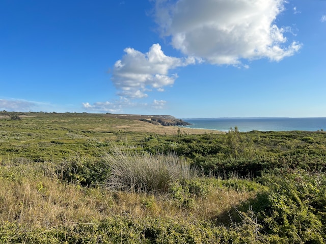 Presqu'ile du Crozon en van